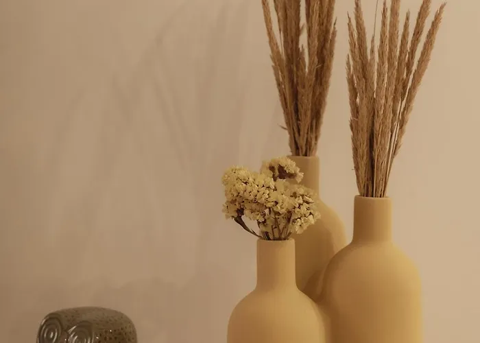 Coruja's House Al Opo * Porto