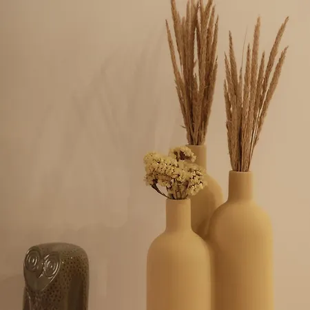 Coruja's House Al Opo * بورتو